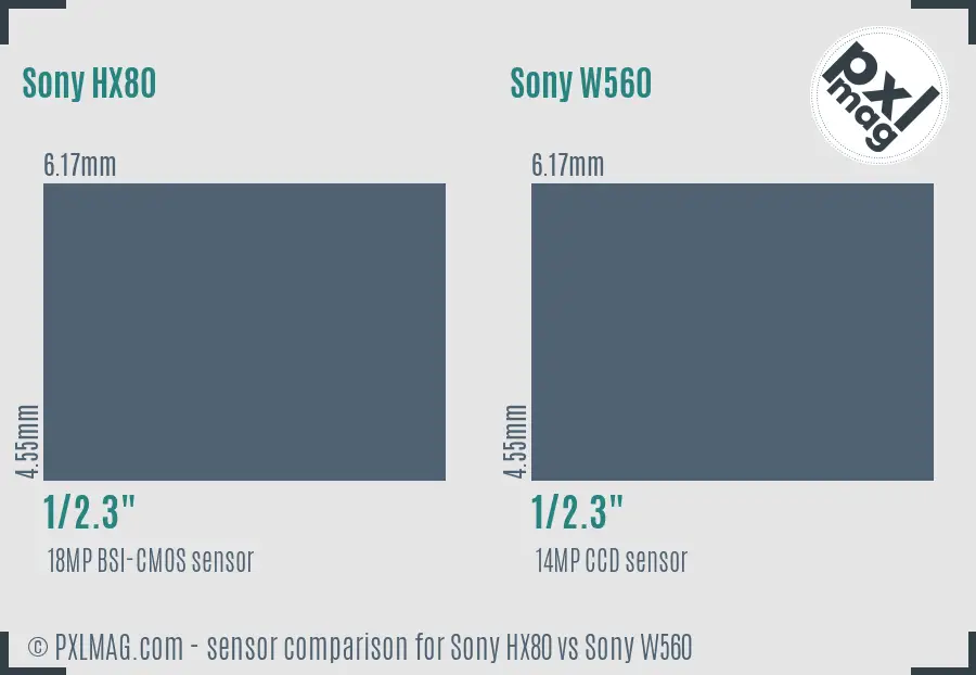 Sony HX80 vs Sony W560 sensor size comparison