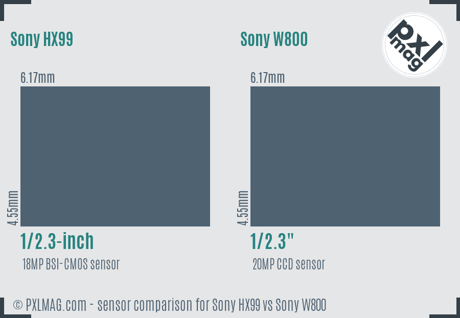 Sony HX99 vs Sony W800 sensor size comparison
