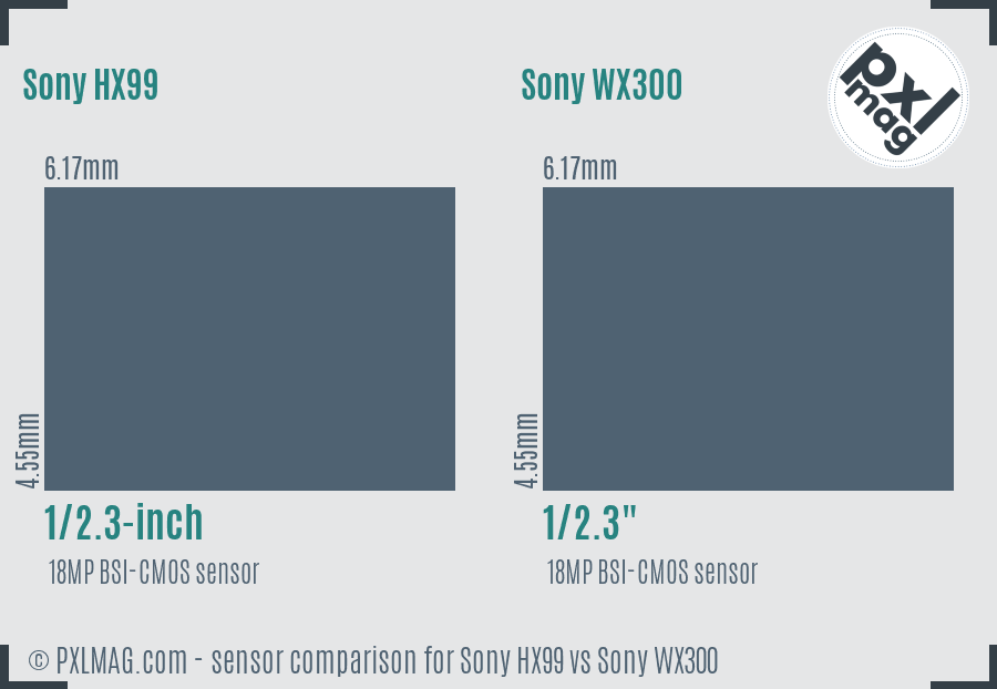 Sony HX99 vs Sony WX300 sensor size comparison