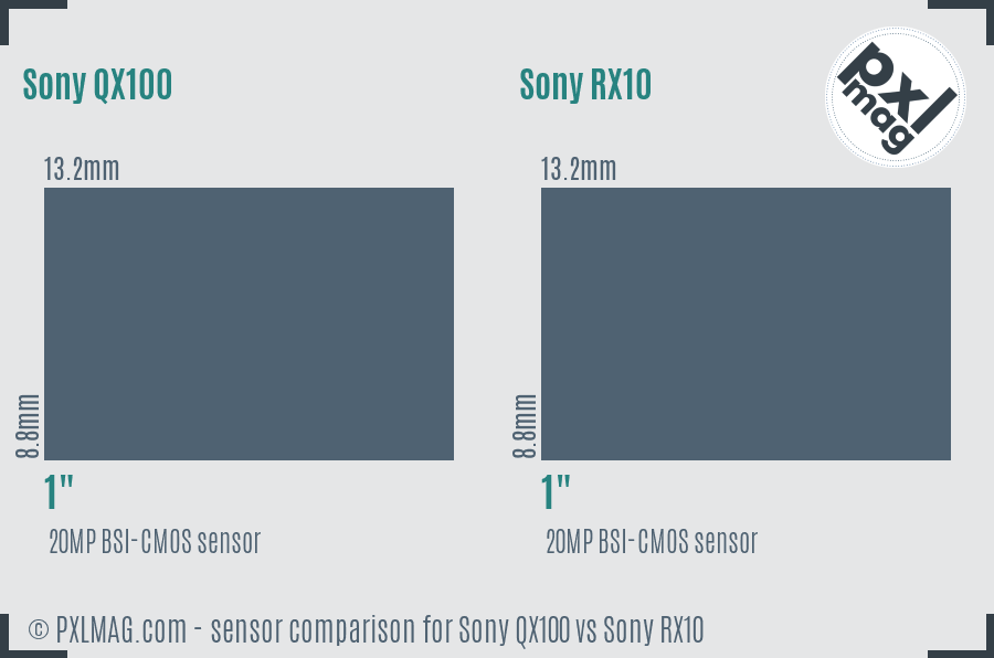Sony QX100 vs Sony RX10 sensor size comparison