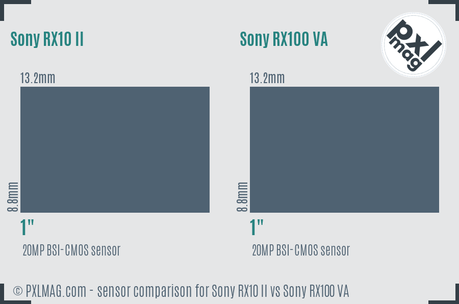 Sony RX10 II vs Sony RX100 VA sensor size comparison