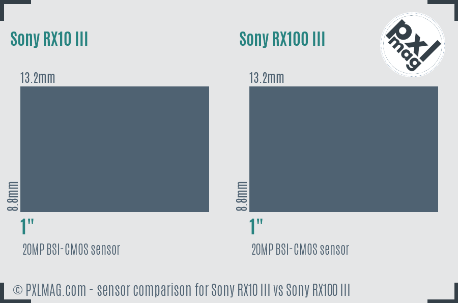 Sony RX10 III vs Sony RX100 III sensor size comparison