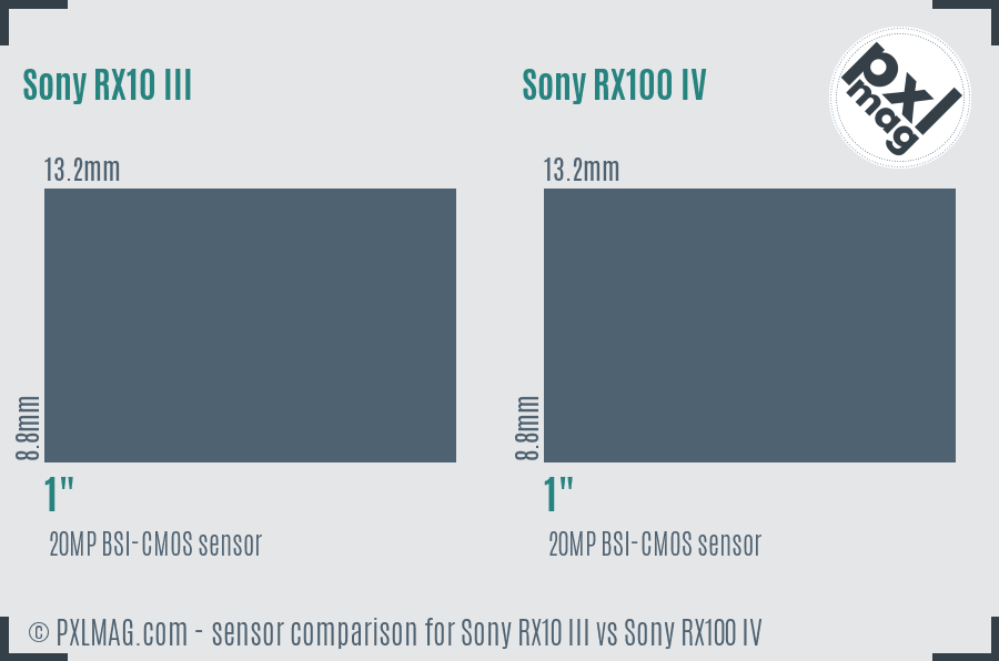 Sony RX10 III vs Sony RX100 IV sensor size comparison