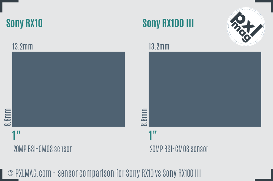 Sony RX10 vs Sony RX100 III sensor size comparison