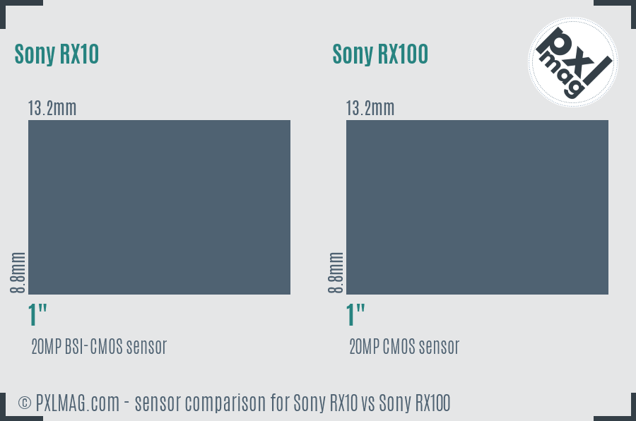 Sony RX10 vs Sony RX100 sensor size comparison