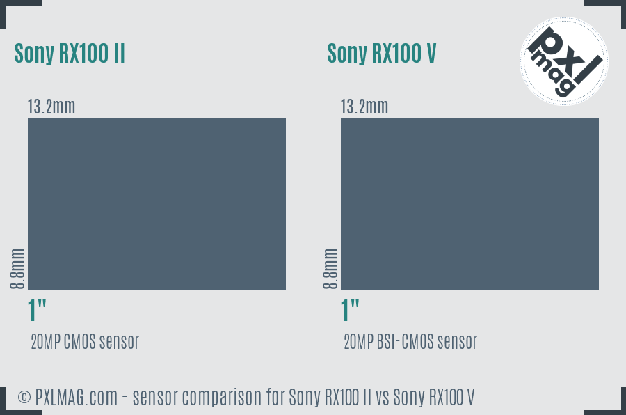 Sony RX100 II vs Sony RX100 V sensor size comparison