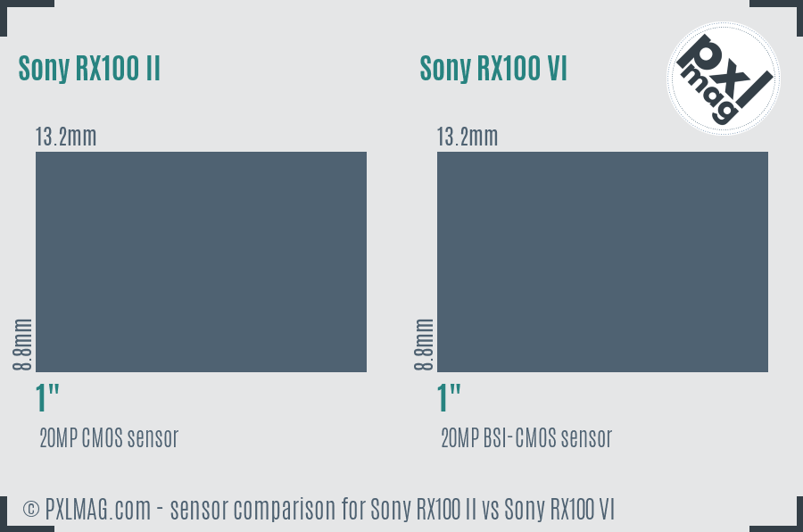 Sony RX100 II vs Sony RX100 VI sensor size comparison