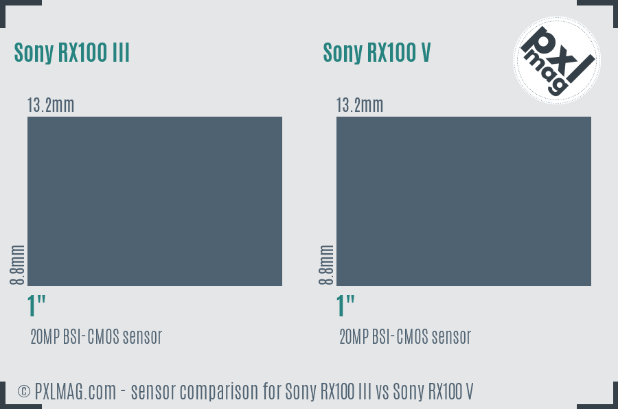 Sony RX100 III vs Sony RX100 V sensor size comparison