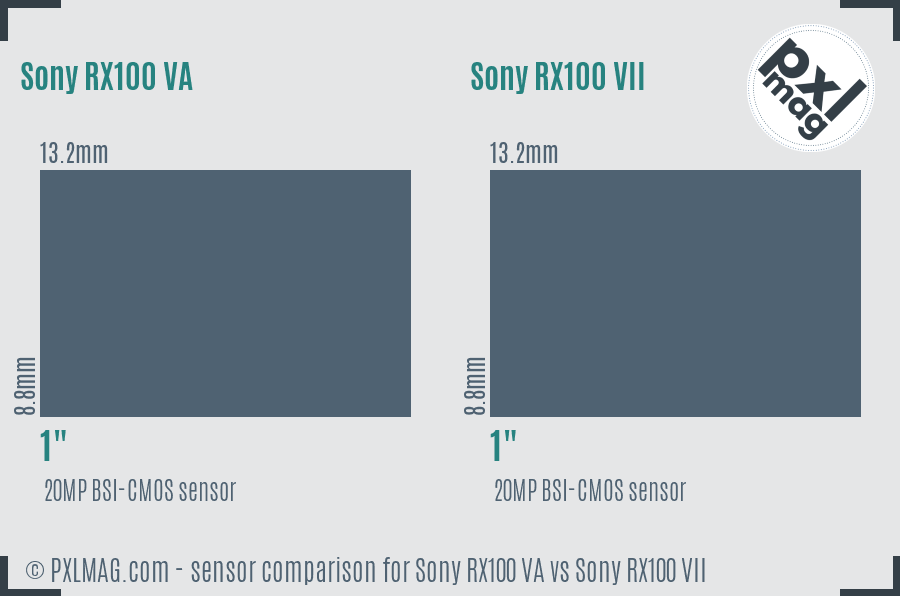 Sony RX100 VA vs Sony RX100 VII sensor size comparison