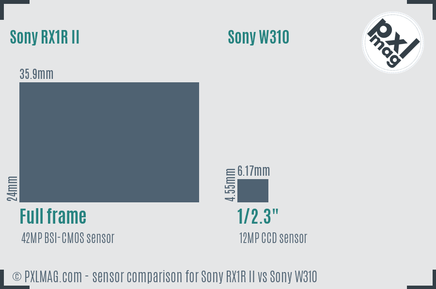 Sony RX1R II vs Sony W310 sensor size comparison