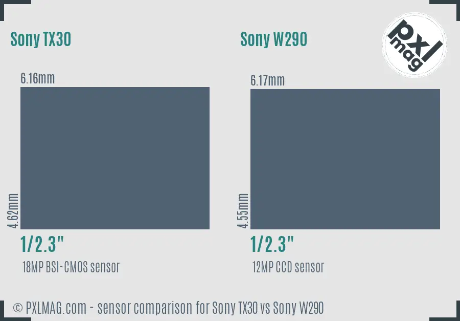 Sony TX30 vs Sony W290 sensor size comparison