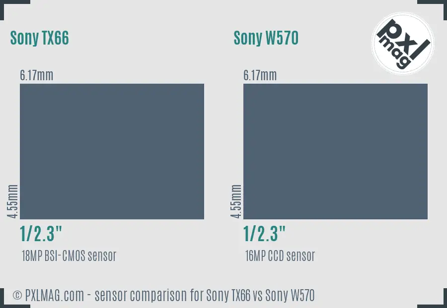 Sony TX66 vs Sony W570 sensor size comparison