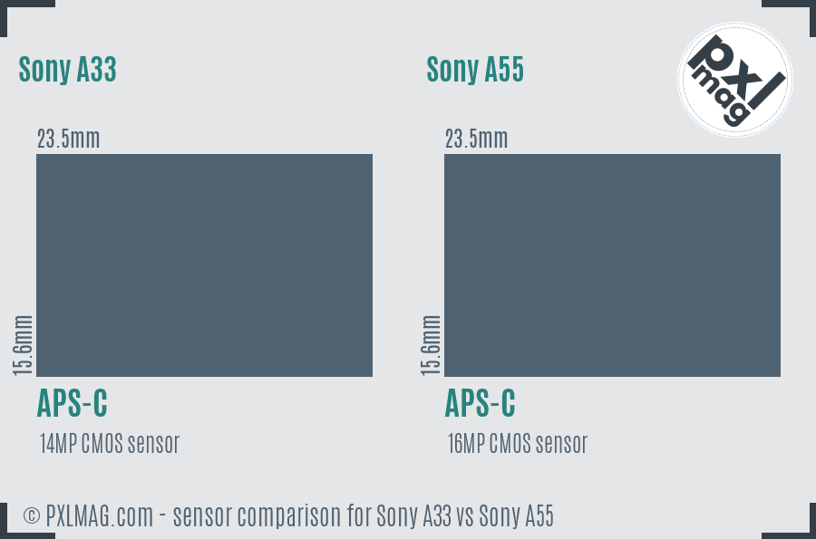 Sony A33 vs Sony A55 sensor size comparison