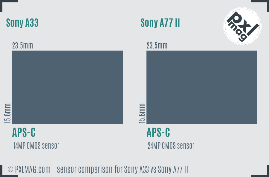 Sony A33 vs Sony A77 II sensor size comparison
