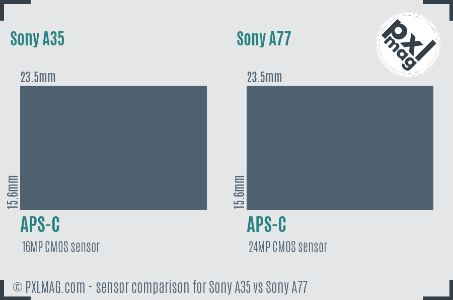 Sony A35 vs Sony A77 sensor size comparison