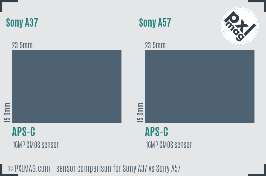 Sony A37 vs Sony A57 sensor size comparison