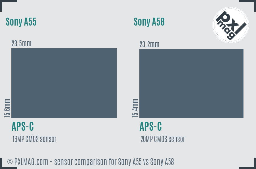 Sony A55 vs Sony A58 sensor size comparison
