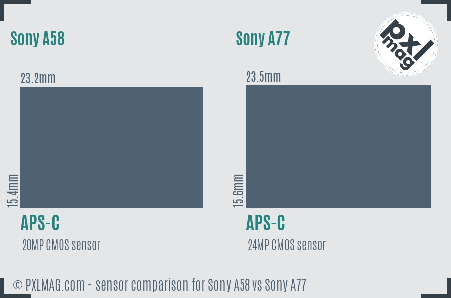 Sony A58 vs Sony A77 sensor size comparison