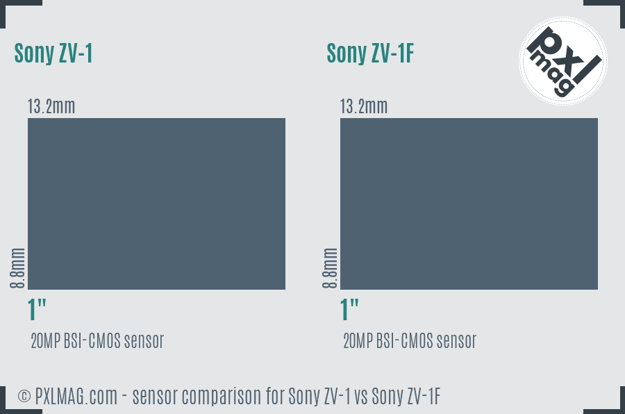 Sony ZV-1 vs Sony ZV-1F sensor size comparison