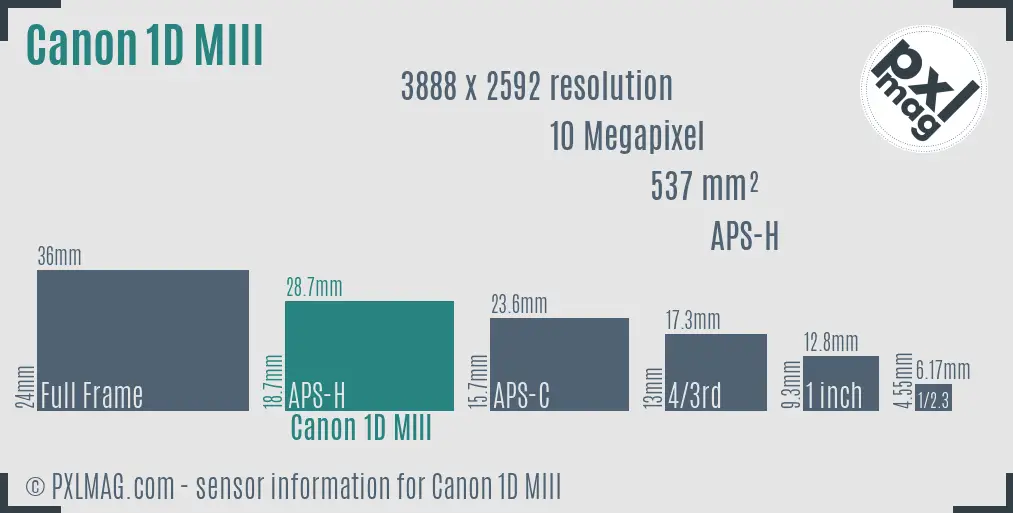 Canon EOS-1D Mark III sensor size