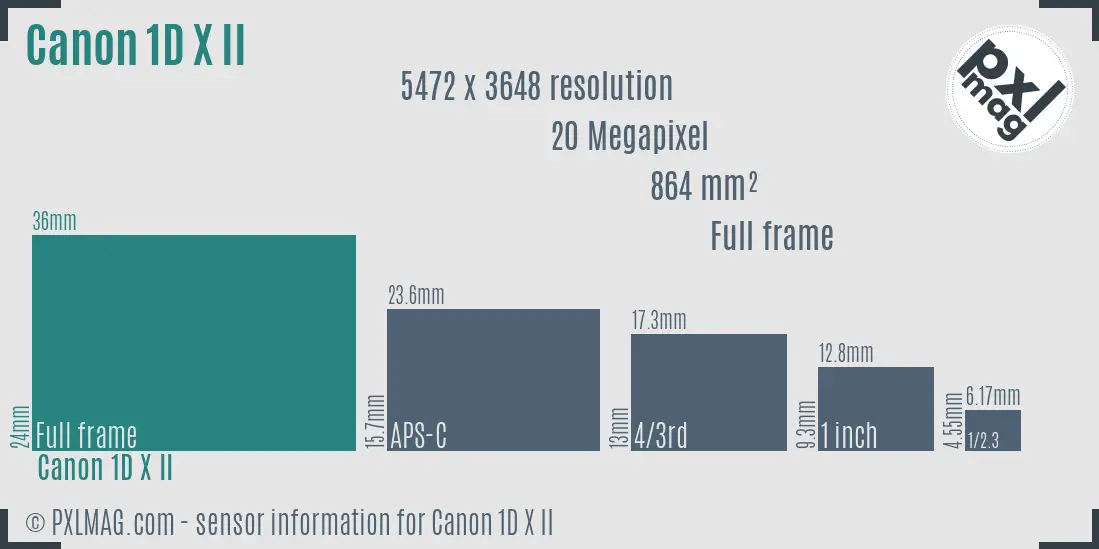 Canon EOS-1D X Mark II sensor size
