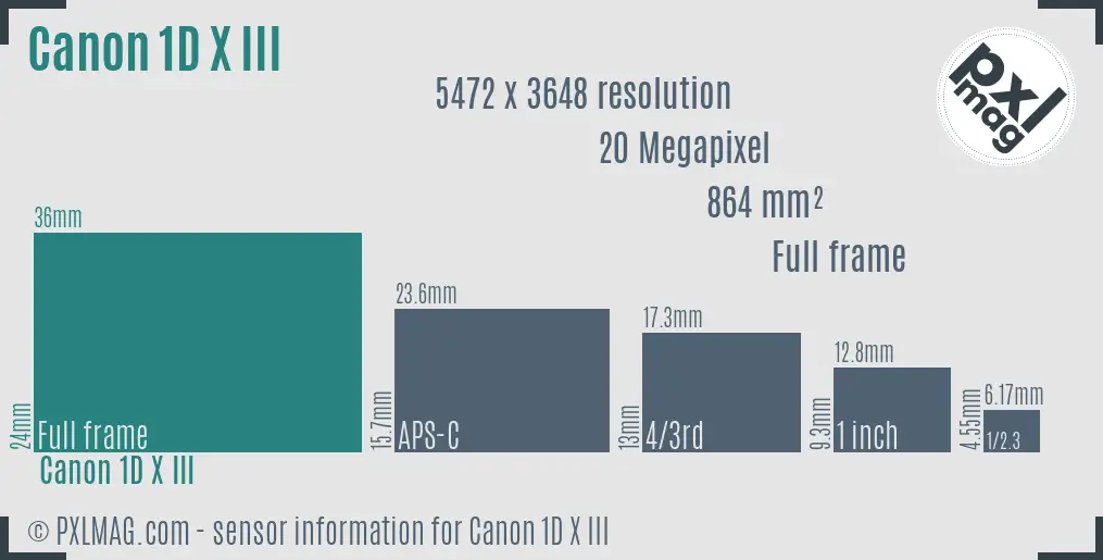 Canon EOS-1D X Mark III sensor size