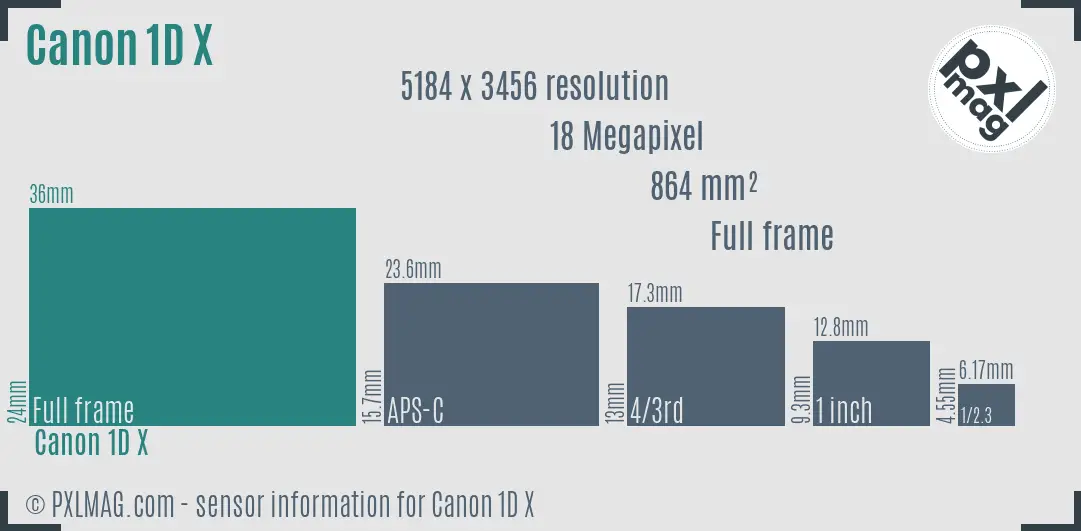 Canon EOS-1D X sensor size