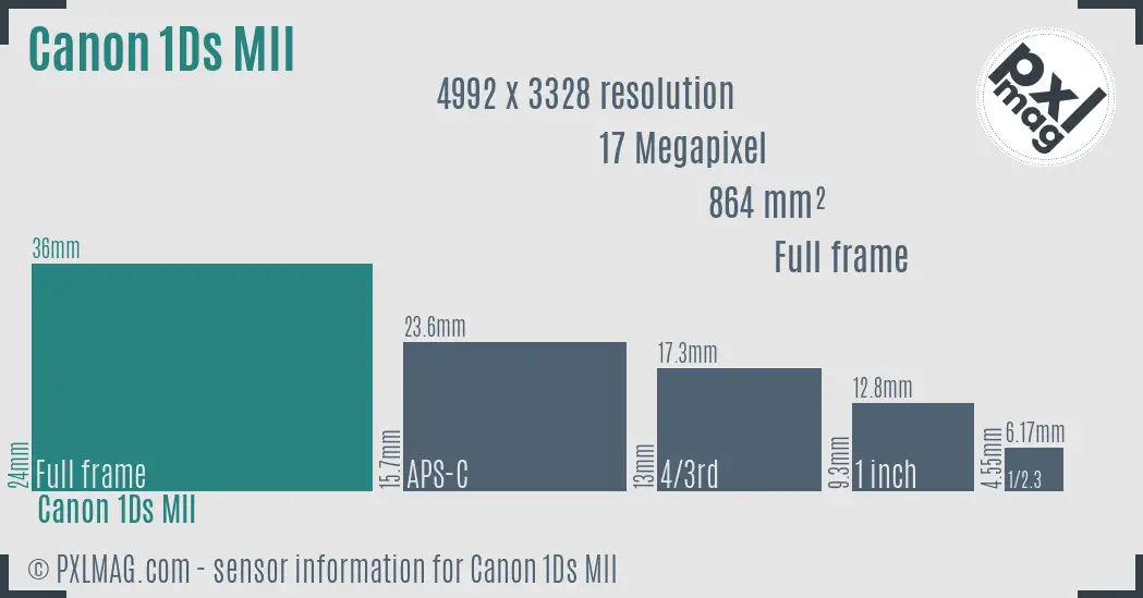 Canon EOS-1Ds Mark II sensor size