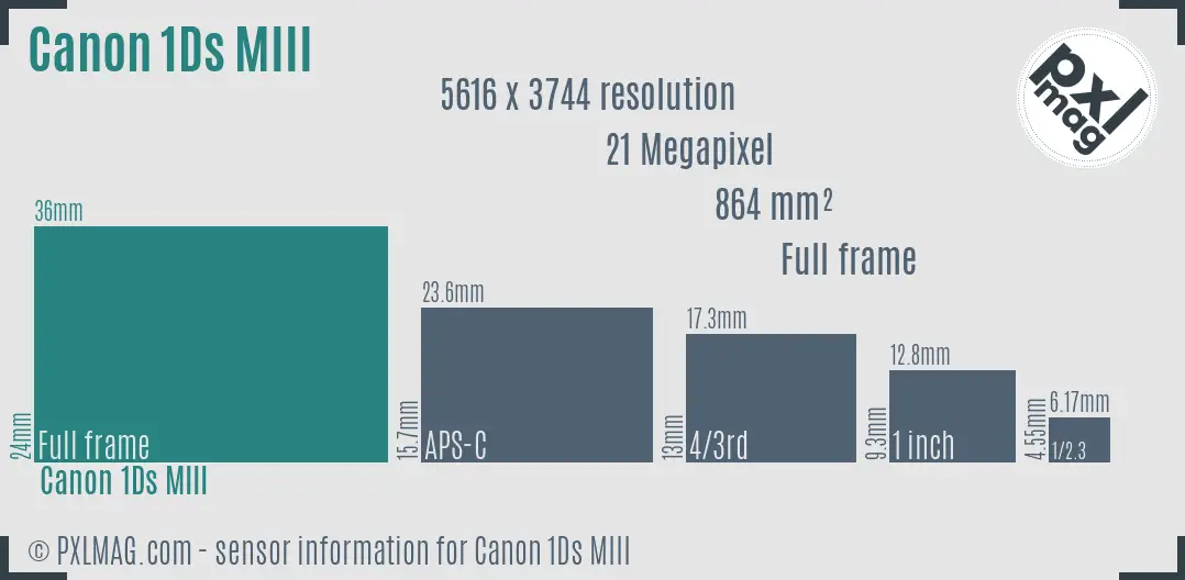 Canon EOS-1Ds Mark III sensor size