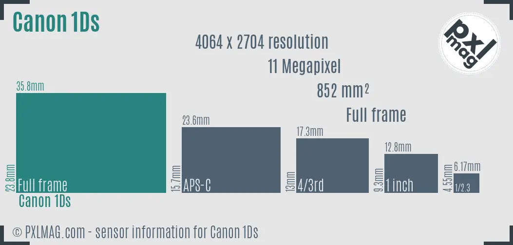 Canon EOS-1Ds sensor size