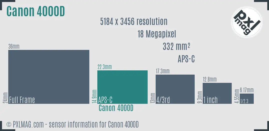 Canon EOS 4000D sensor size
