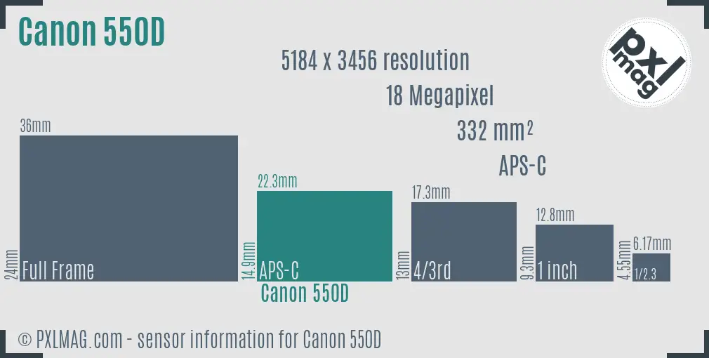 Canon EOS 550D sensor size