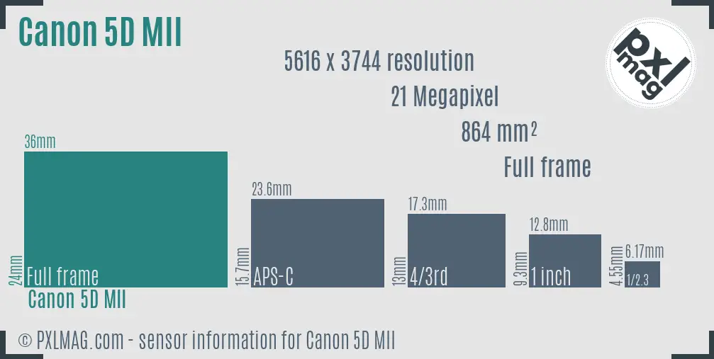 Canon EOS 5D Mark II sensor size