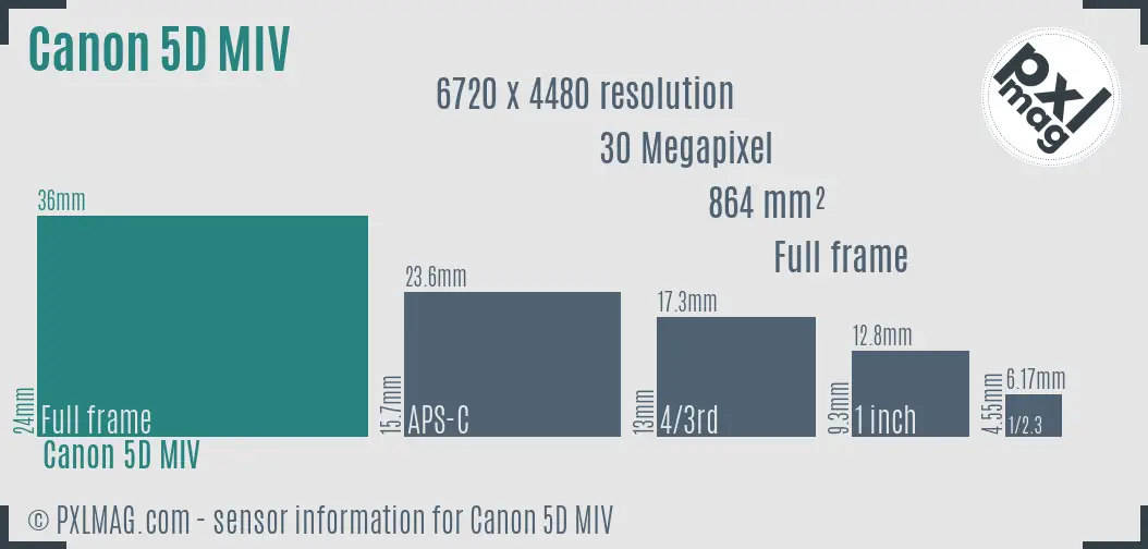 Canon EOS 5D Mark IV sensor size