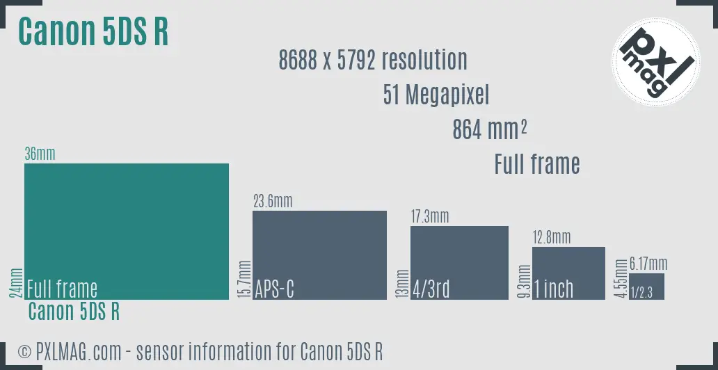 Canon EOS 5DS R sensor size