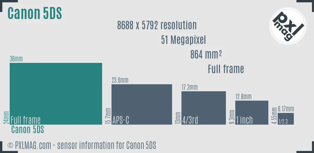 Canon EOS 5DS sensor size