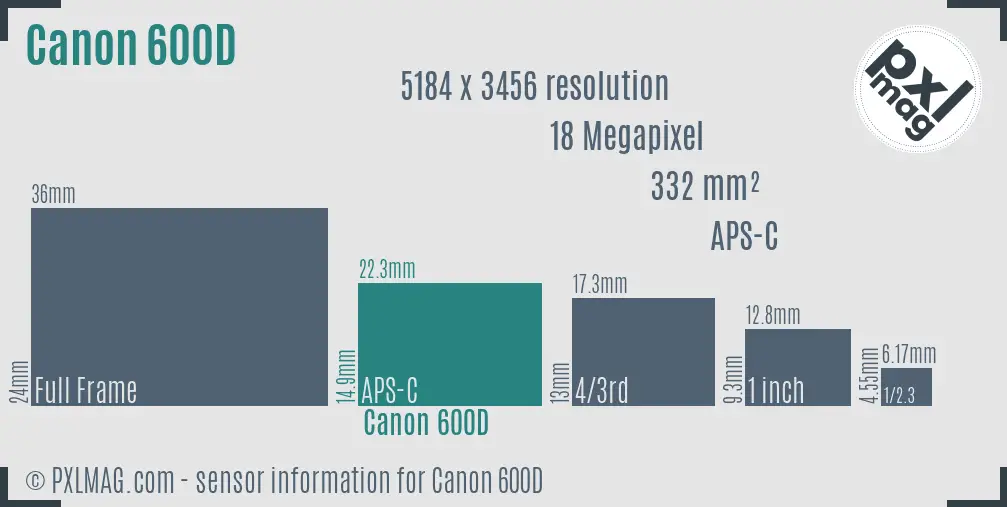Canon EOS 600D sensor size