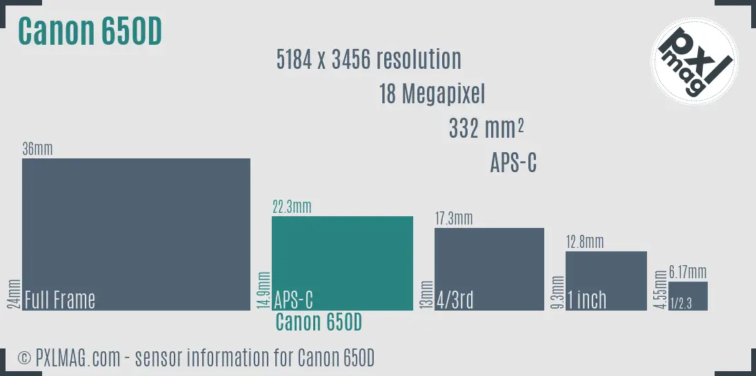 Canon EOS 650D sensor size