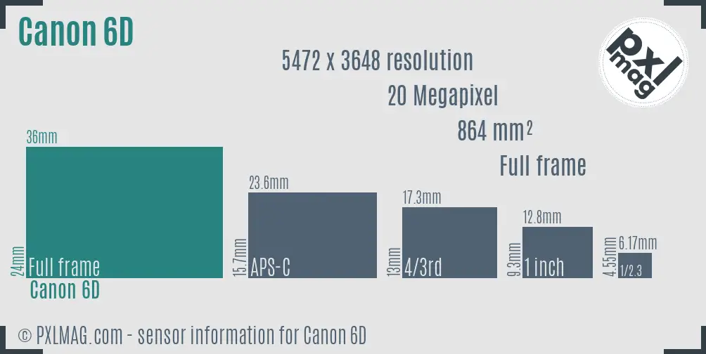 Canon EOS 6D sensor size