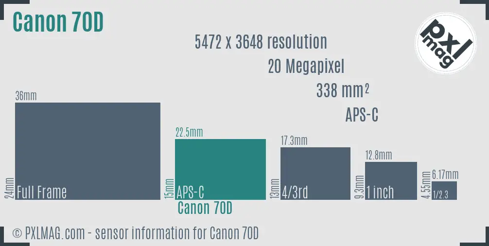 Canon EOS 70D sensor size