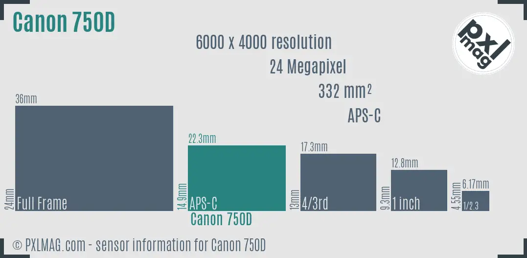Canon EOS 750d sensor size