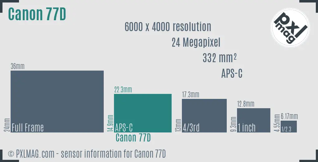 Canon EOS 77D sensor size