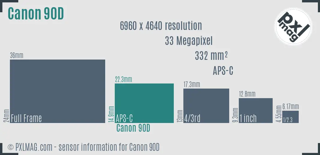 Canon EOS 90D sensor size
