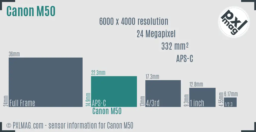 Canon EOS M50 sensor size