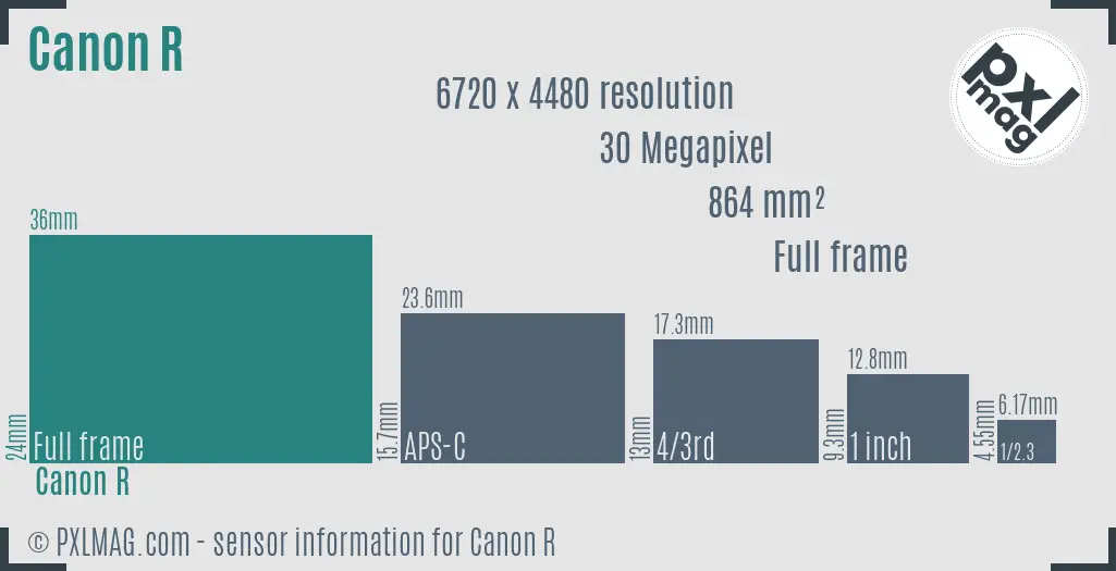 Canon EOS R sensor size