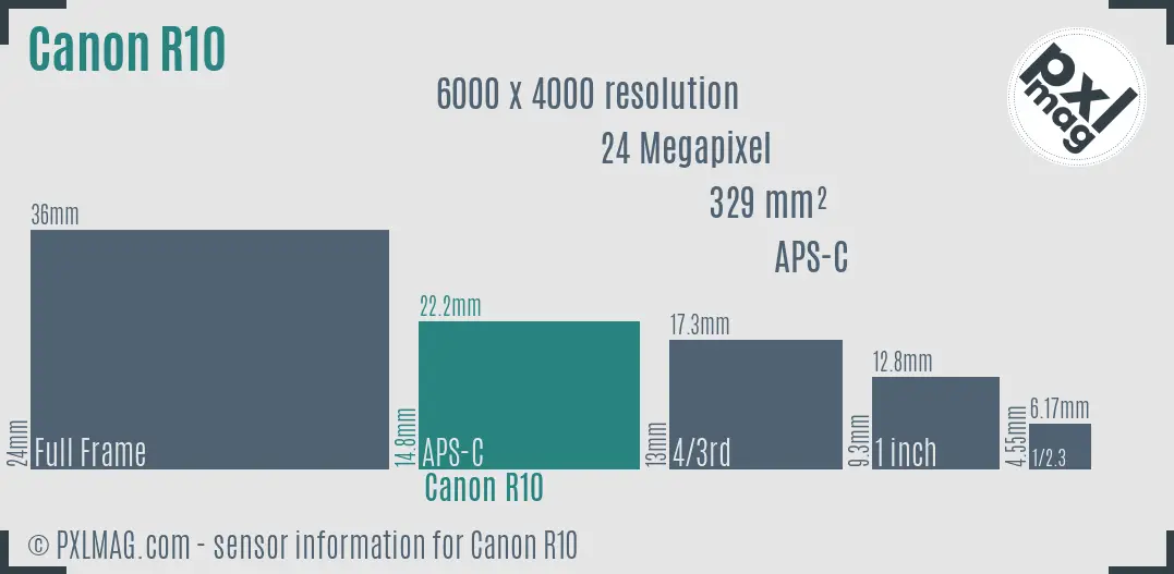 Canon EOS R10 sensor size