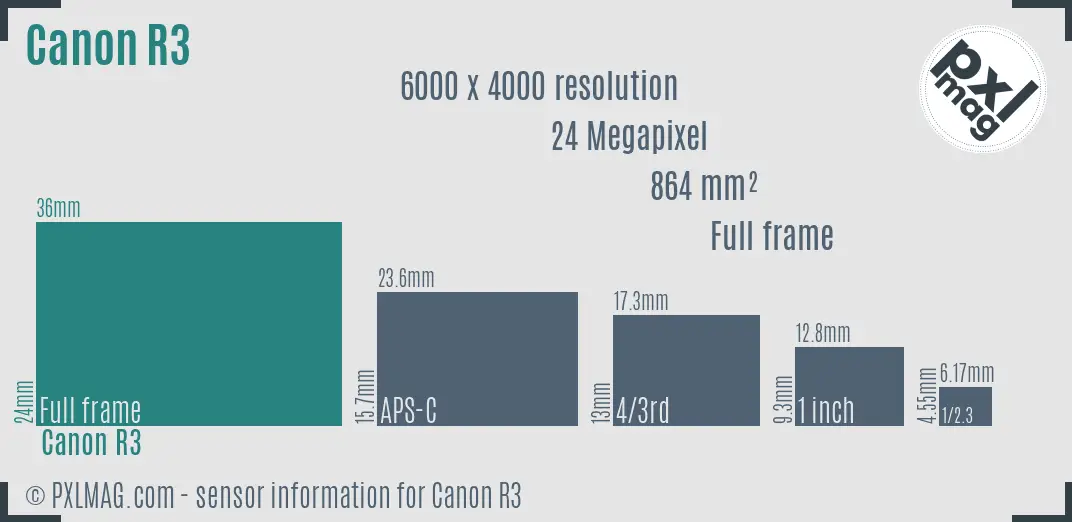 Canon EOS R3 sensor size