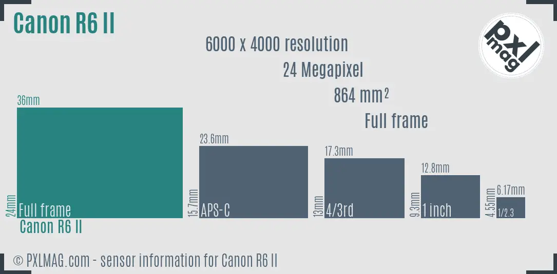 Canon EOS R6 Mark II sensor size