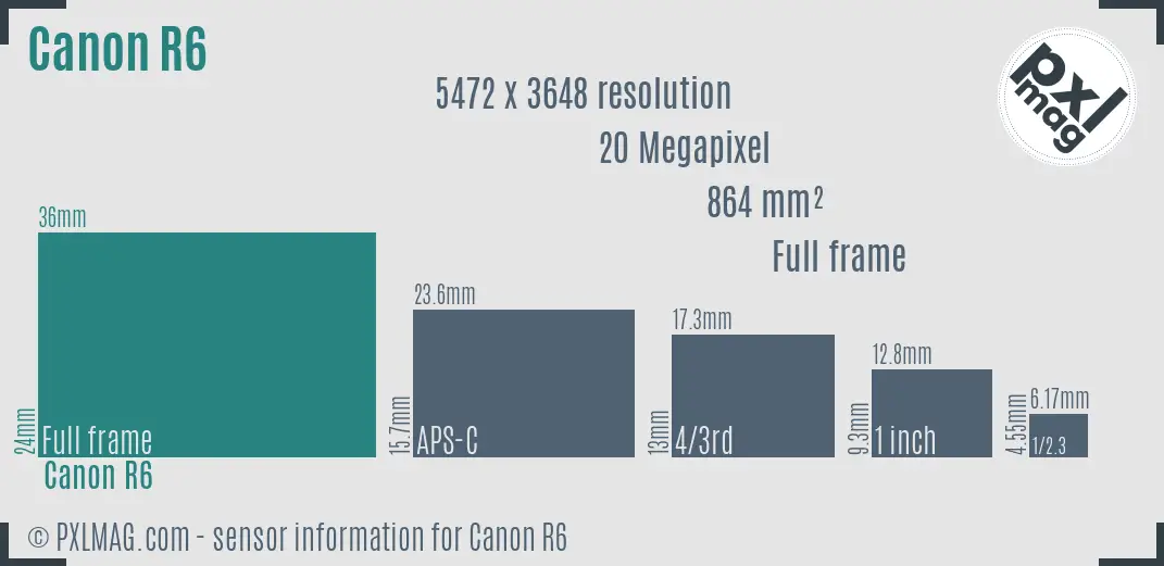 Canon EOS R6 sensor size