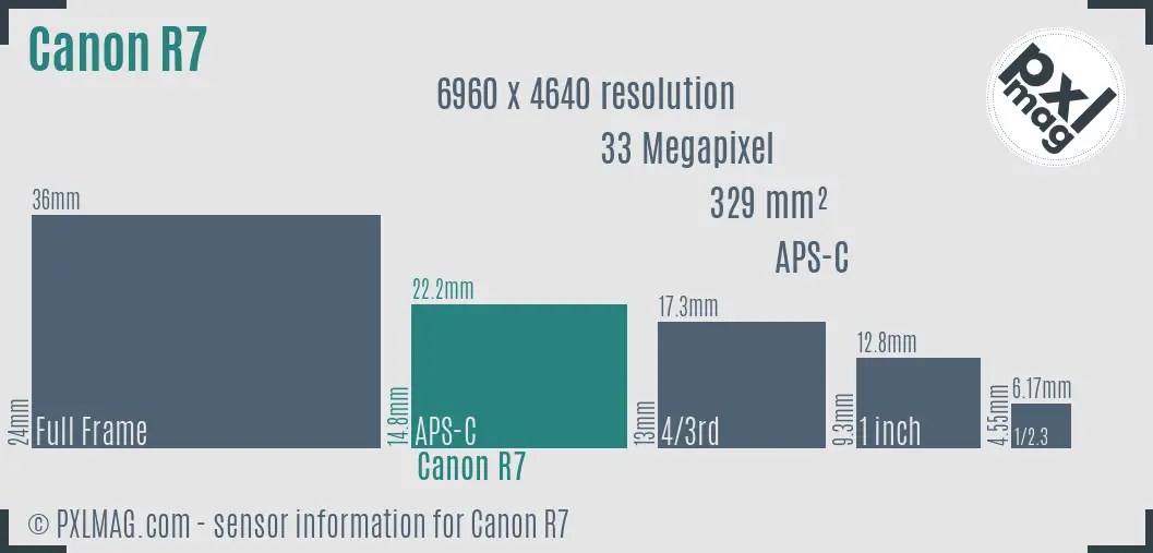 Canon EOS R7 sensor size